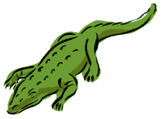 gator