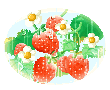 berries