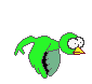 bird
