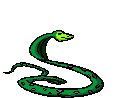 snake