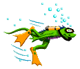 diver