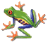 frog