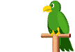 bird hello