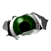 eye