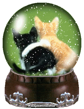 kitty snowglobe