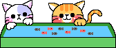 cat fishing