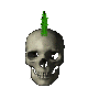 skull