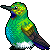 sunbird