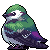 swallow