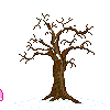 seasons