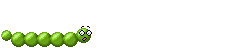 worm