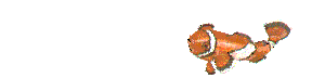 clownfish