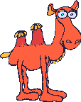 camel