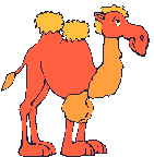 camel