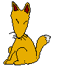 fox sit