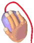 computer mouse