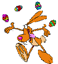 rabbit juggle