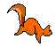 squirrel