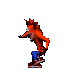 crash bandicoot