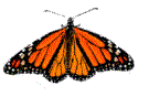monarch