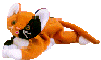 cat plush