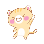cat dance