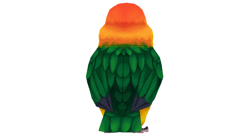 conure spin