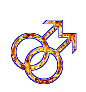 homo