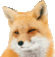 fox bounce