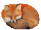 fox curl
