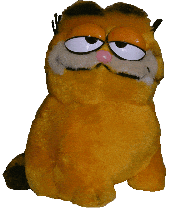 garfield spin