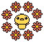 chick flowers