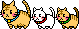 cats