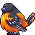 oriole