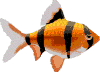 barb