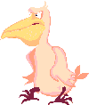 pelican