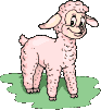 lamb