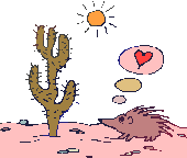 desert hedgehog