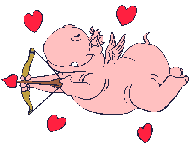 hippo