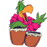 parrot