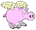 pig