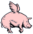 pig