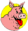 pig