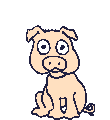 pig