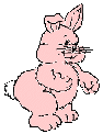 bunny