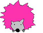 hedgehog
