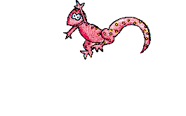 lizard