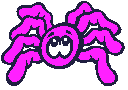spider