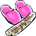 slippers