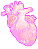 anatomical heart